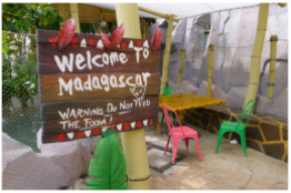 Madagascar theme restaurant